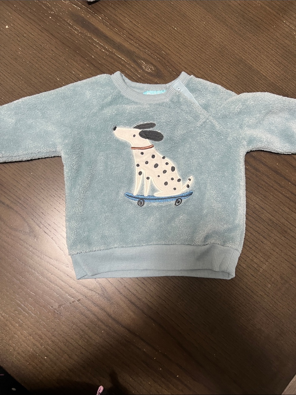 Light Blue Plush Baby Sweater with Skateboarding Dalmatian